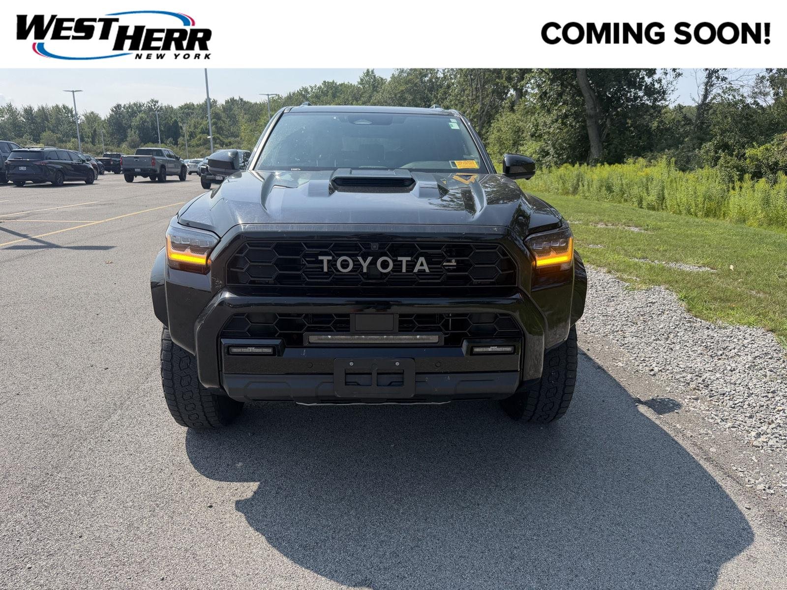 Used 2025 Black Toyota TRD Pro HV image 1