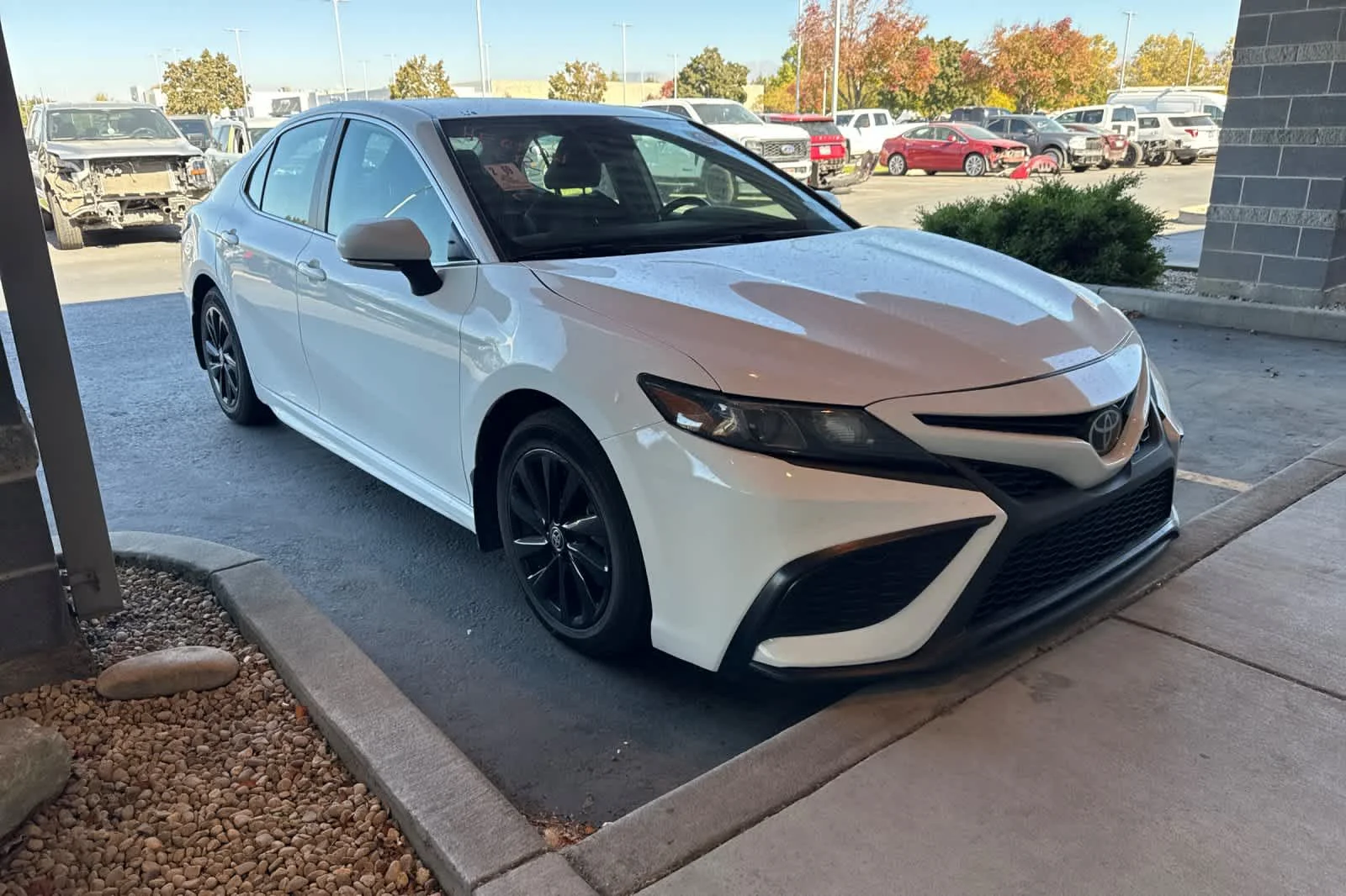 Used 2024 White Toyota SE image 3
