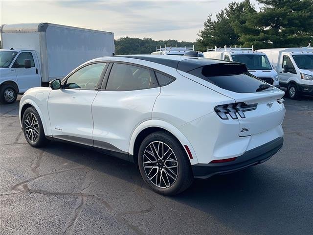 Used 2025 Star White Ford Premium image 36