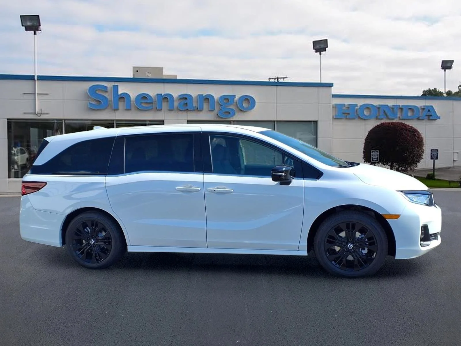 New 2026 Platinum White Pearl Honda Sport-L image 2