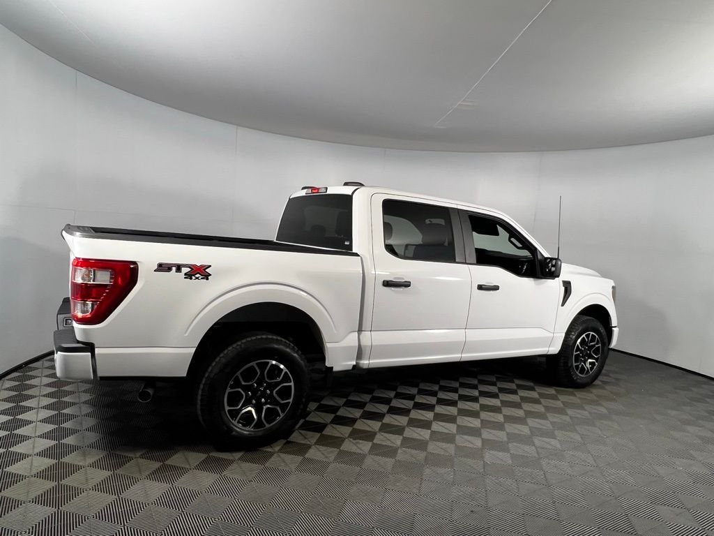 2023 Ford F-150 XL photo 3