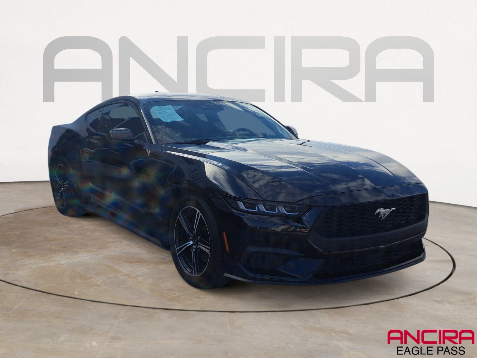 Used 2024 Shadow Black Ford EcoBoost image 1