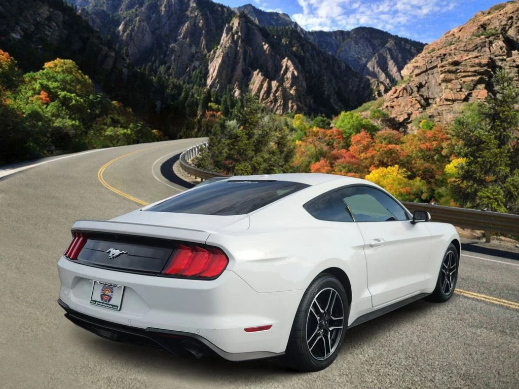 Used 2020 White Ford EcoBoost Premium image 3