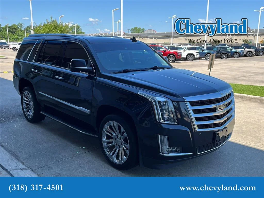 2019 Cadillac Escalade 2WD Luxury's photo