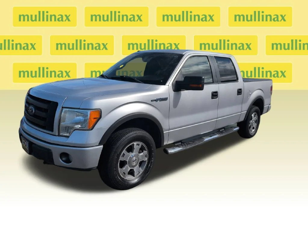 Used 2010 Silver Ford FX4 image 14