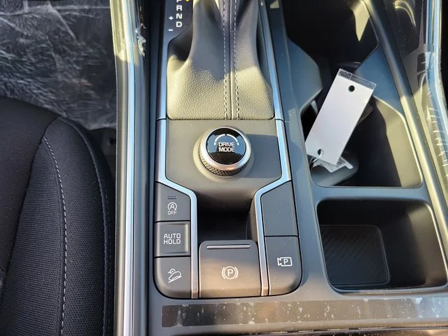 New 2026 Panthera Metal Kia LX image 20