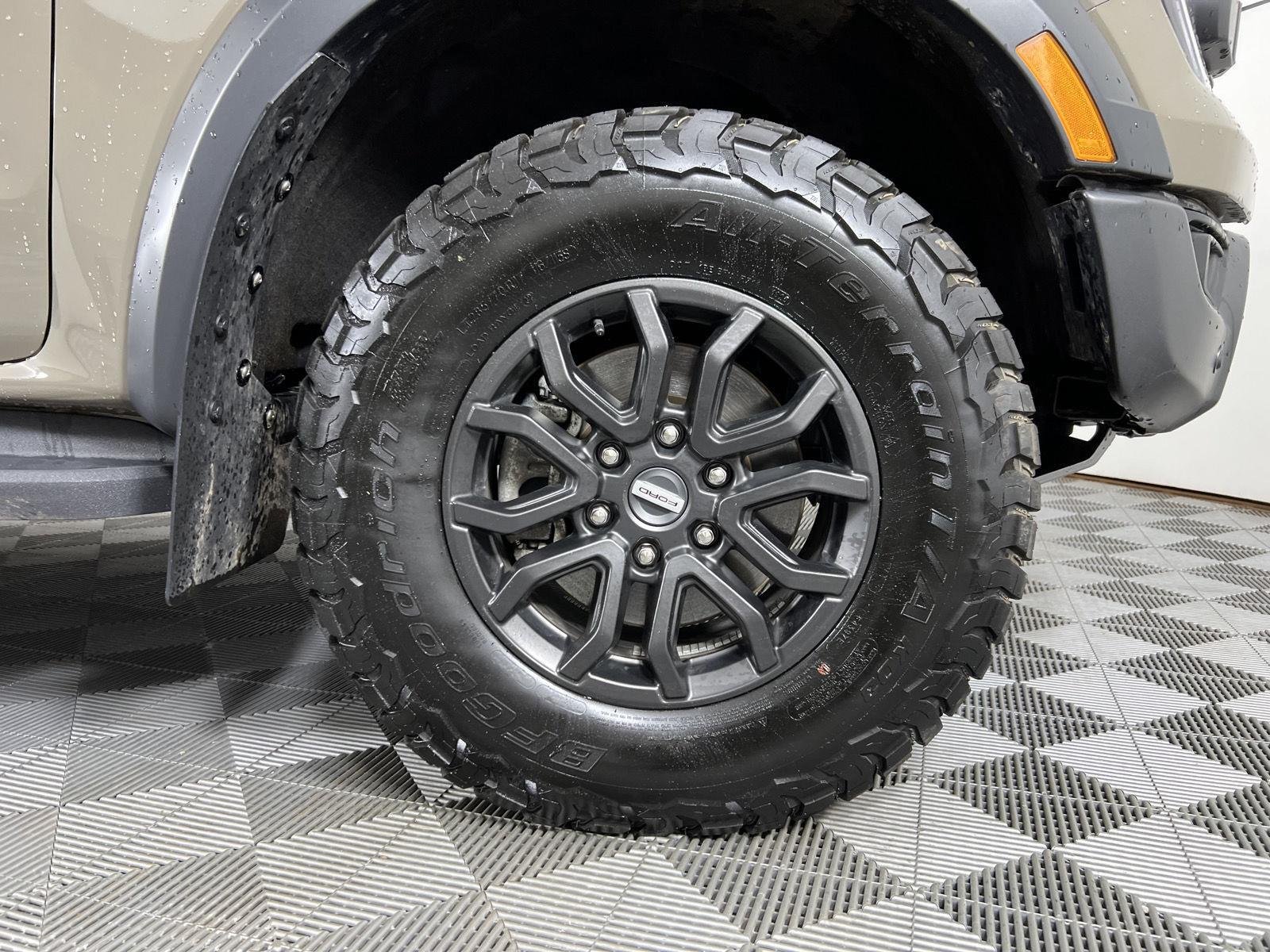 Used 2025 Marsh Gray Ford Raptor image 12