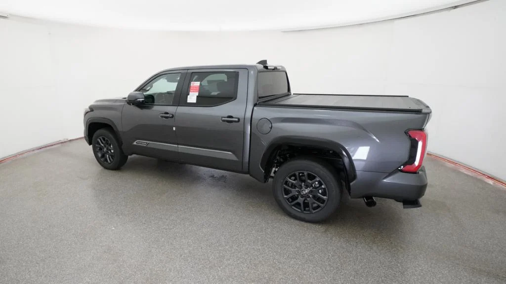 New 2026 Magnetic Gray Metallic Toyota Platinum image 19