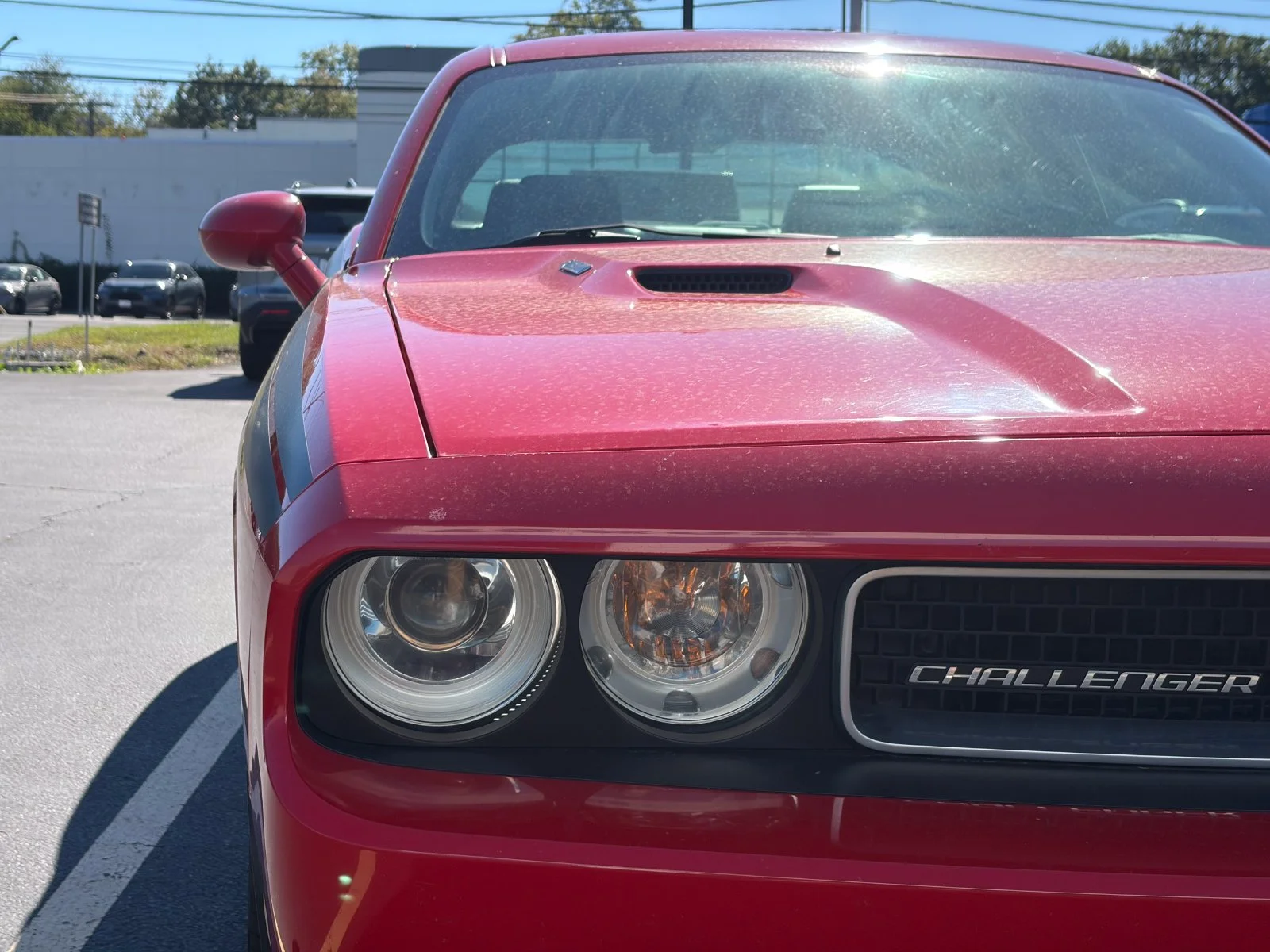Used 2010 Torred Dodge R/T image 14