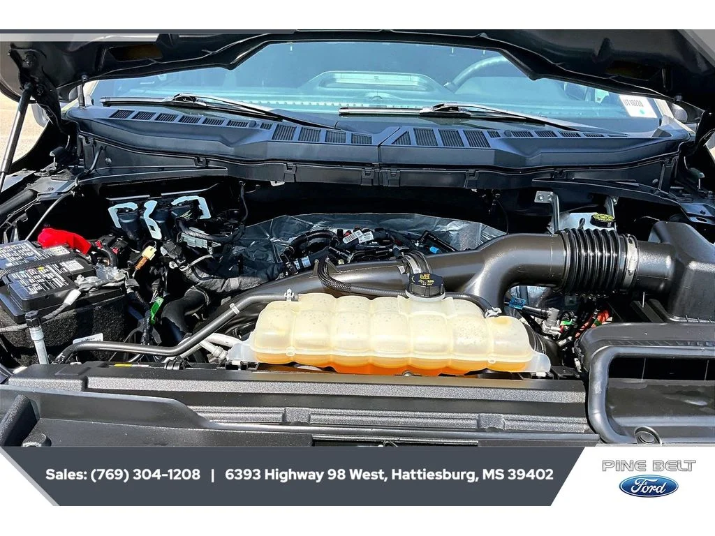 Used 2025 Marsh Gray Ford STX image 8