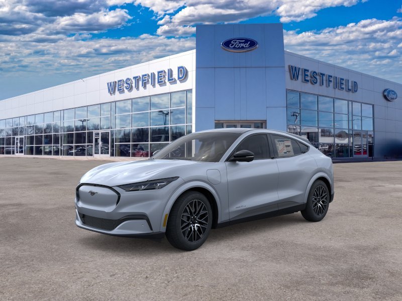 New 2026 Glacier Gray Metallic Tri-coat Ford Premium image 23