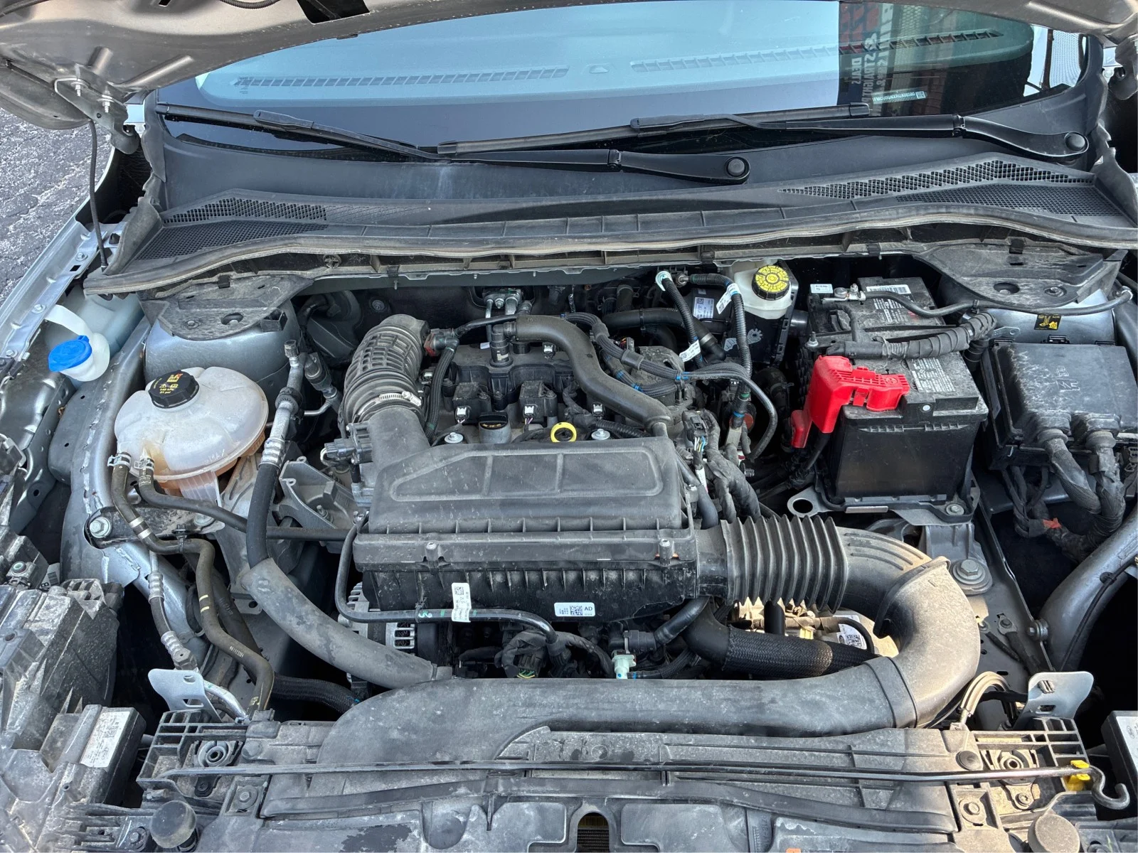 Used 2024 Silver Ford Active image 20