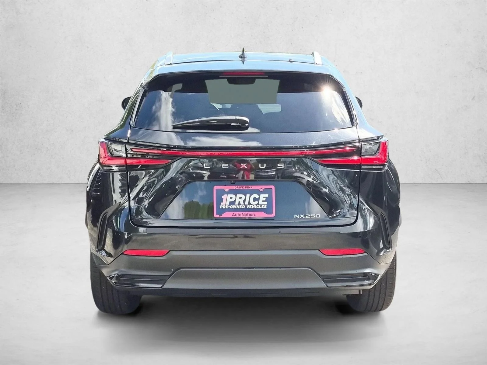 2025 Lexus NX 250 - Photo 7
