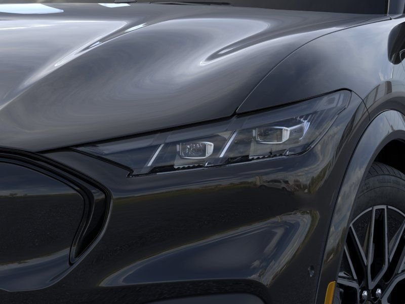 New 2025 Shadow Black Ford Premium image 18