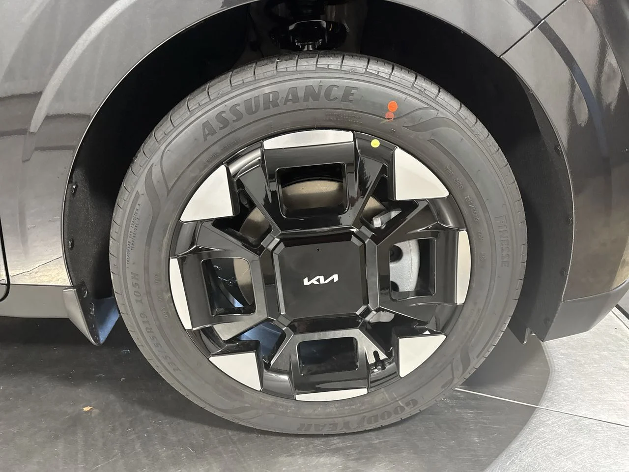New 2026 Panthera Metal Kia EX image 14