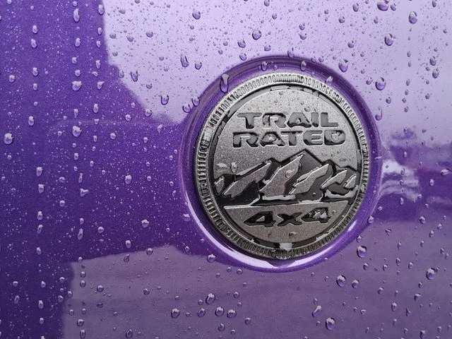 New 2026 Reign Exterior Paint Jeep Willys image 12