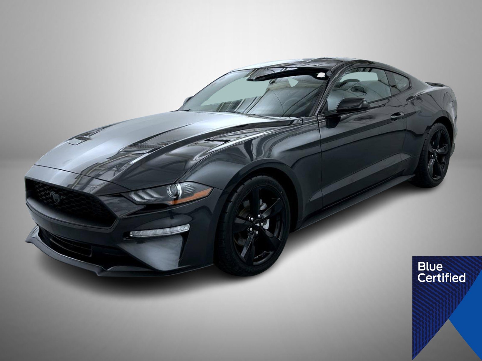 2022 Ford Mustang EcoBoost