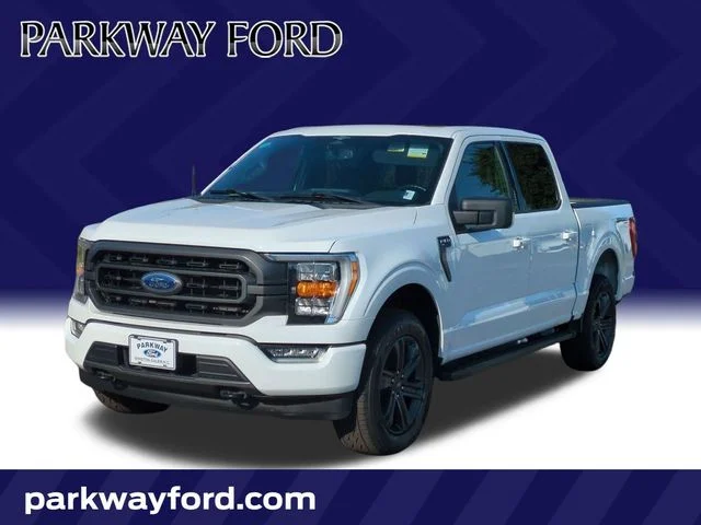 Used 2023 White Ford XLT image 1