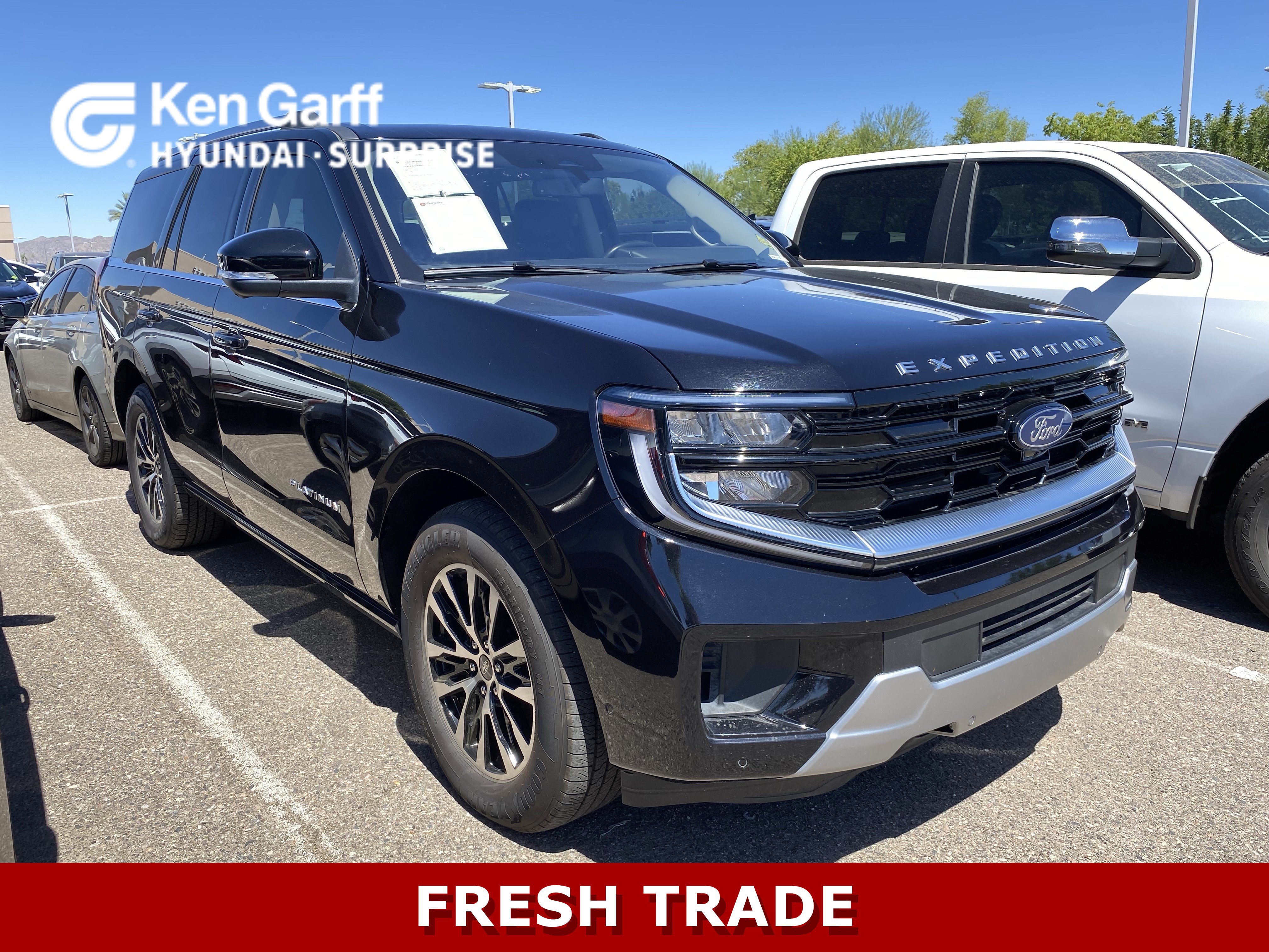 2025 Ford Expedition Platinum 4x4's photo