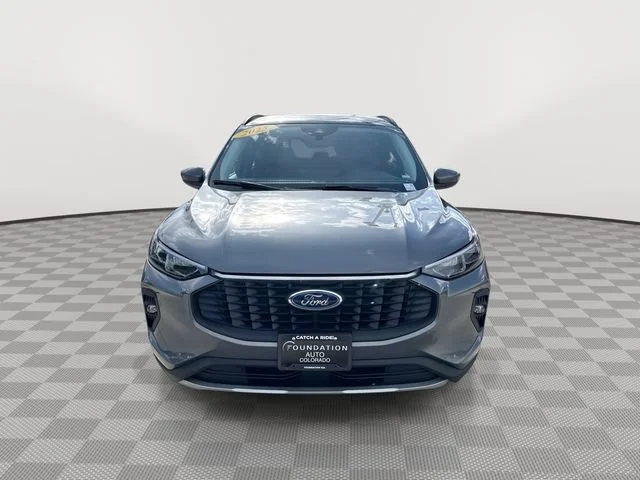 Used 2025 Gray Ford Platinum image 3