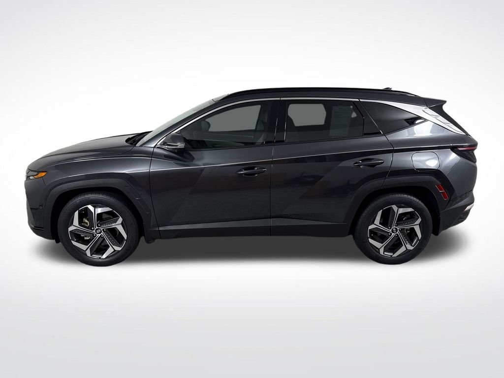 2023 Hyundai Tucson Limited - Photo 8