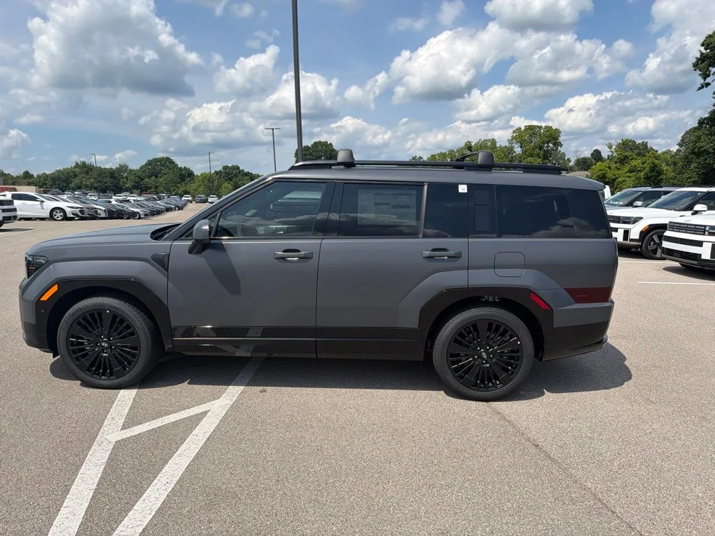 New 2026 Ecotronic Gray Matte Hyundai Calligraphy image 2
