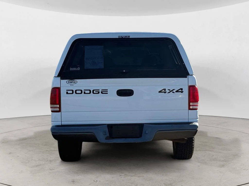 Used 2002 White Dodge Base image 4