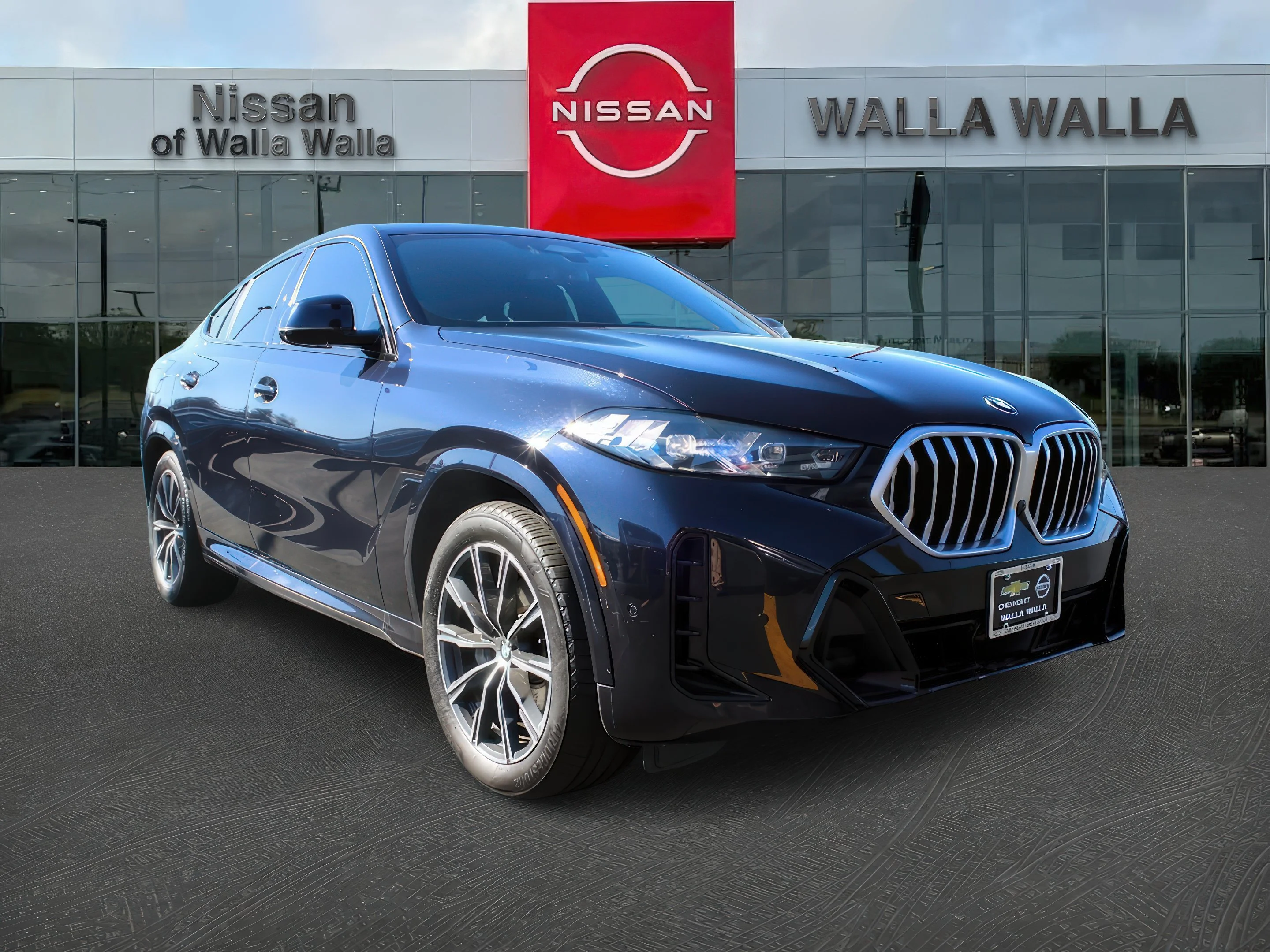 2025 BMW X6 xDrive40i's photo