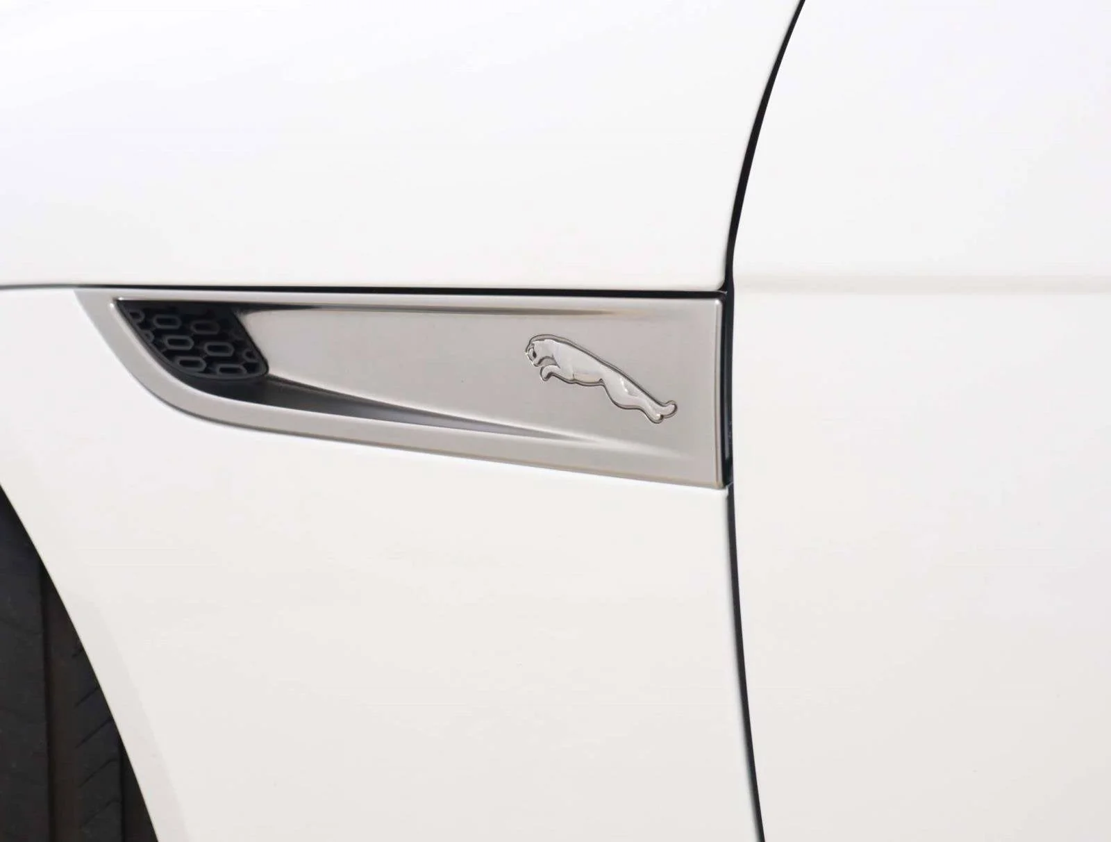 Used 2024 White Jaguar 75 image 10