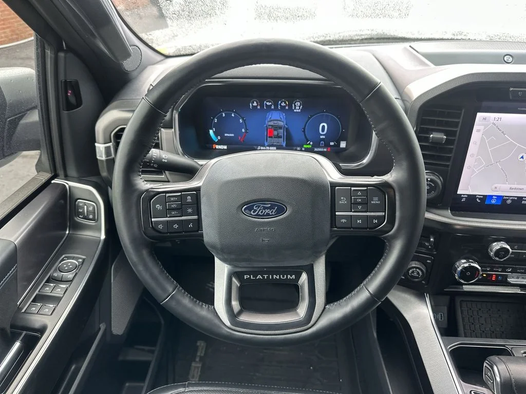 Used 2024 Silver Ford Platinum image 14