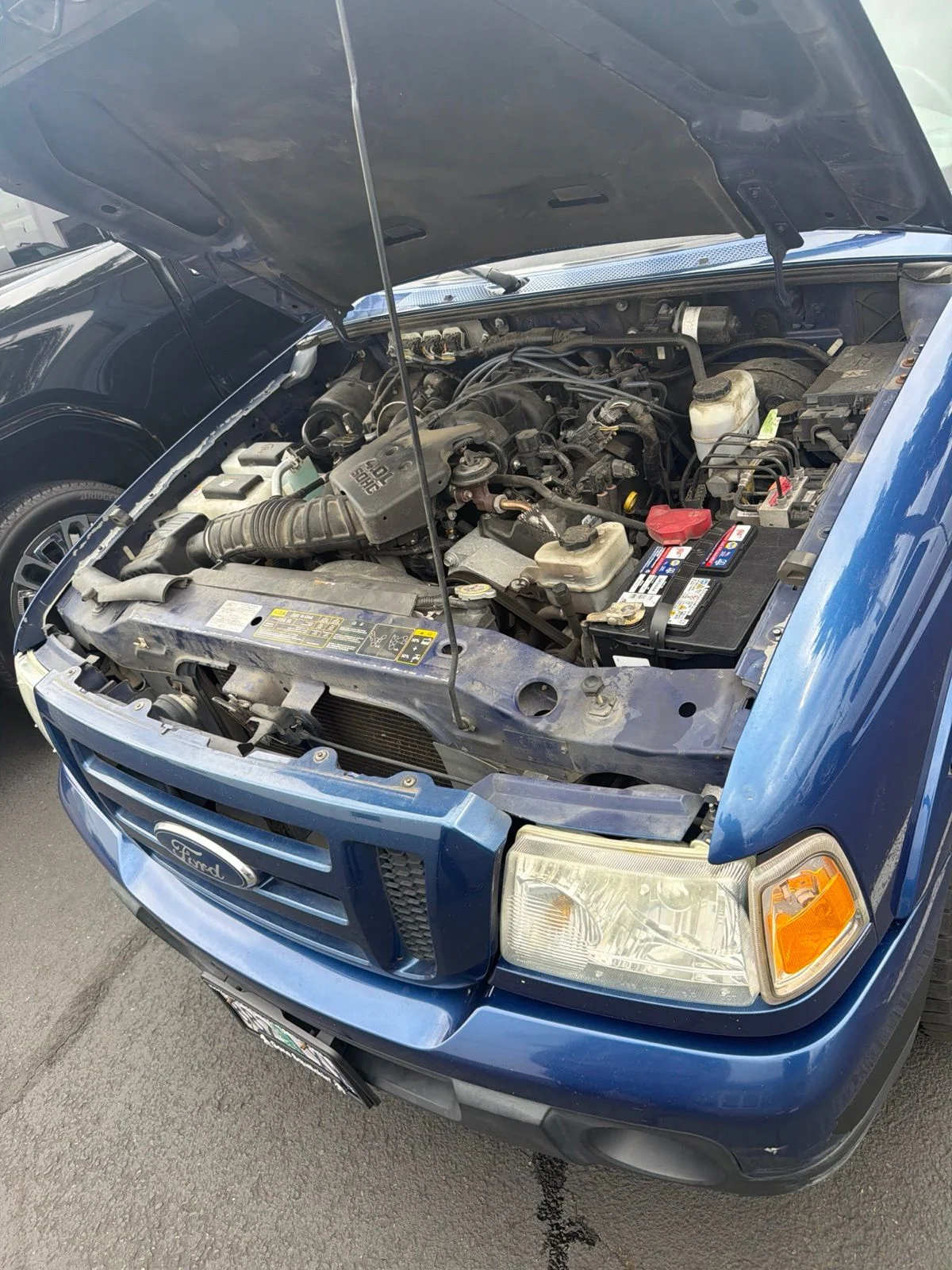 Used 2011 Vista Blue Metallic Ford XLT image 2