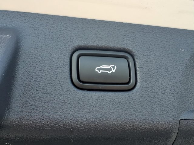 Used 2024  Hyundai Calligraphy image 24