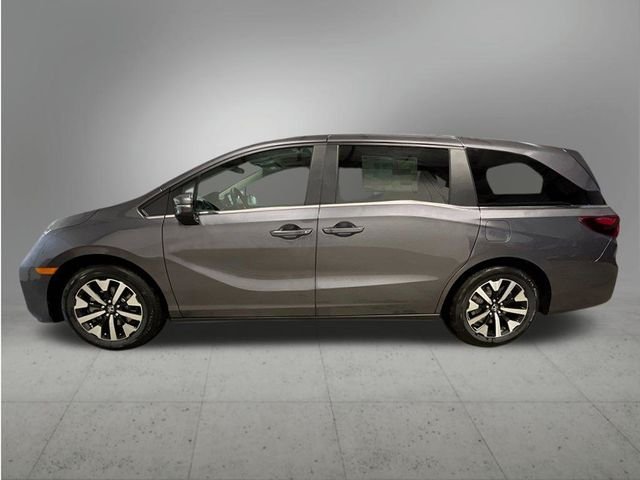 New 2026 Modern Steel Metallic Honda EX-L image 2