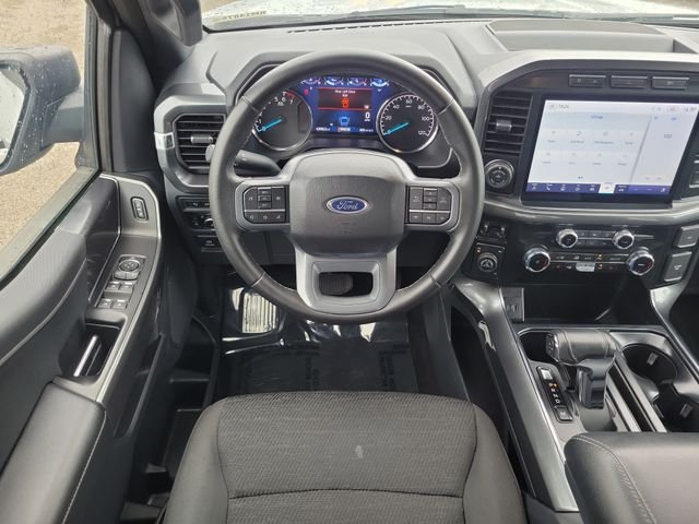 Photo 11