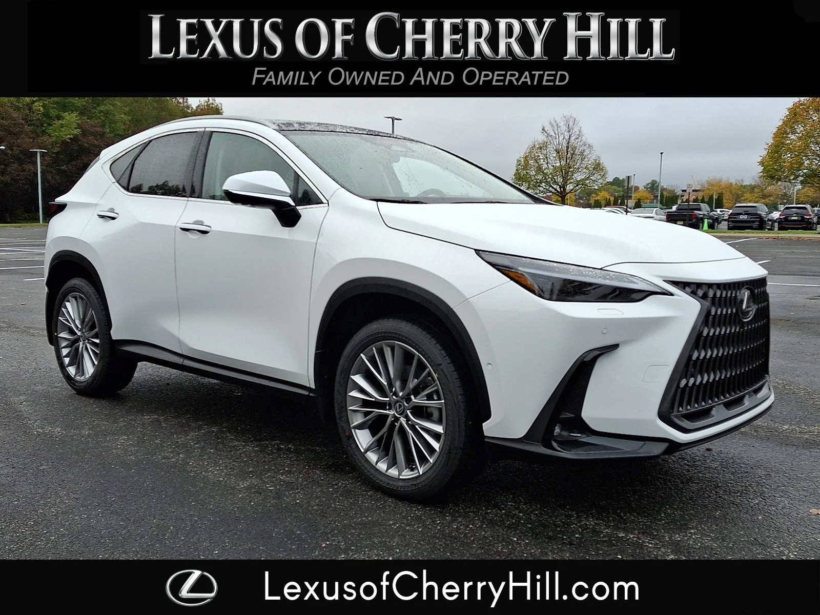 2026 Lexus NX