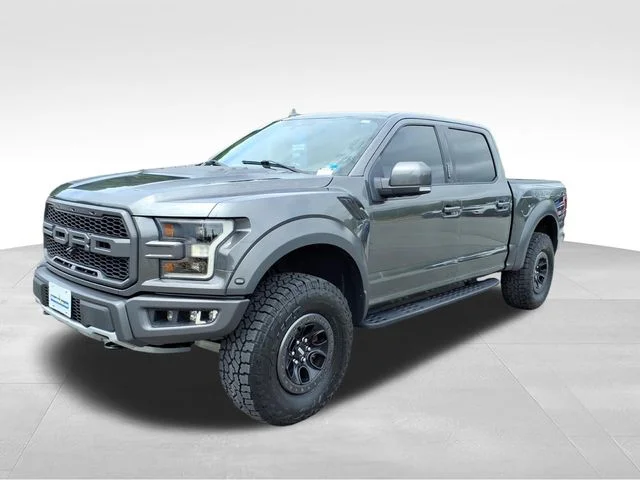 Used 2019 Gray Ford Raptor image 2
