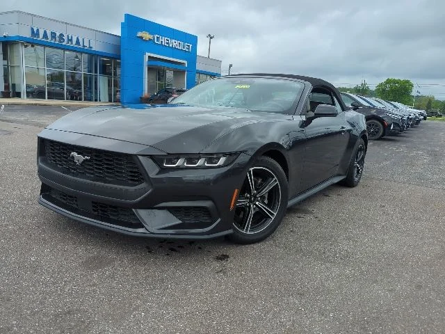 Used 2024 Gray Ford EcoBoost Premium image 3