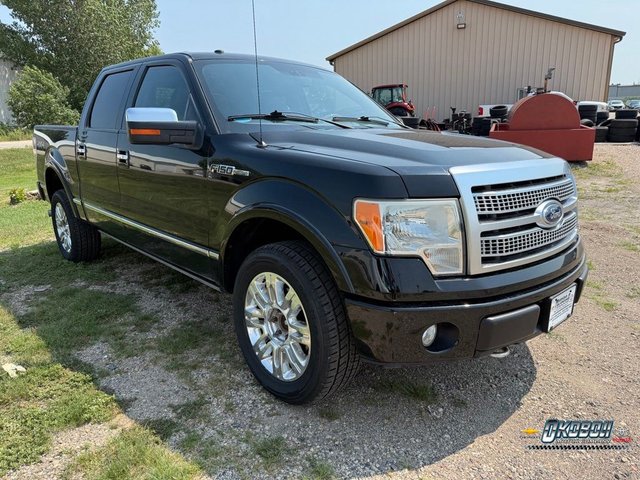 2010 Ford F-150 Platinum