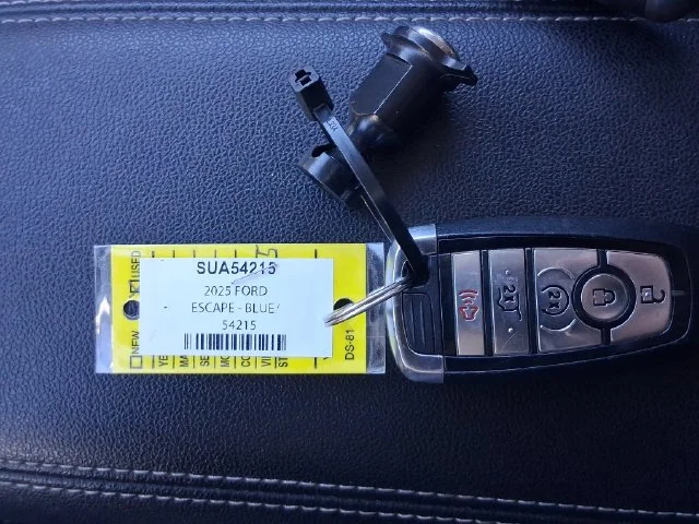 Used 2025 Blue Ford Platinum image 40