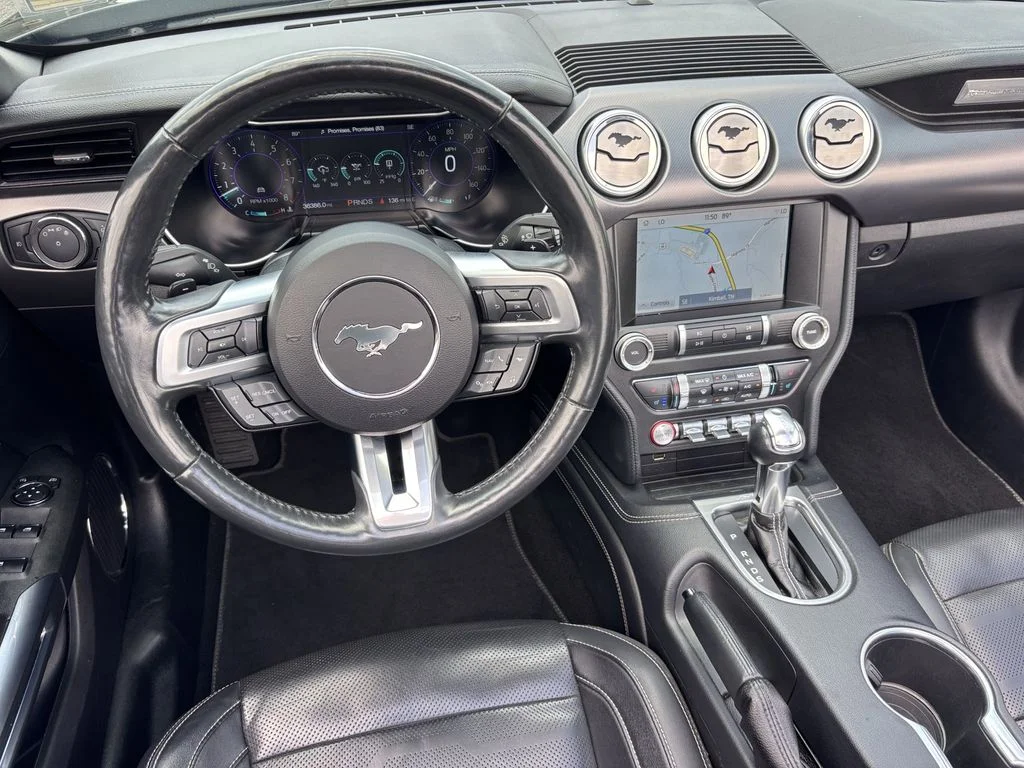 Used 2019 Black Ford GT Premium image 3