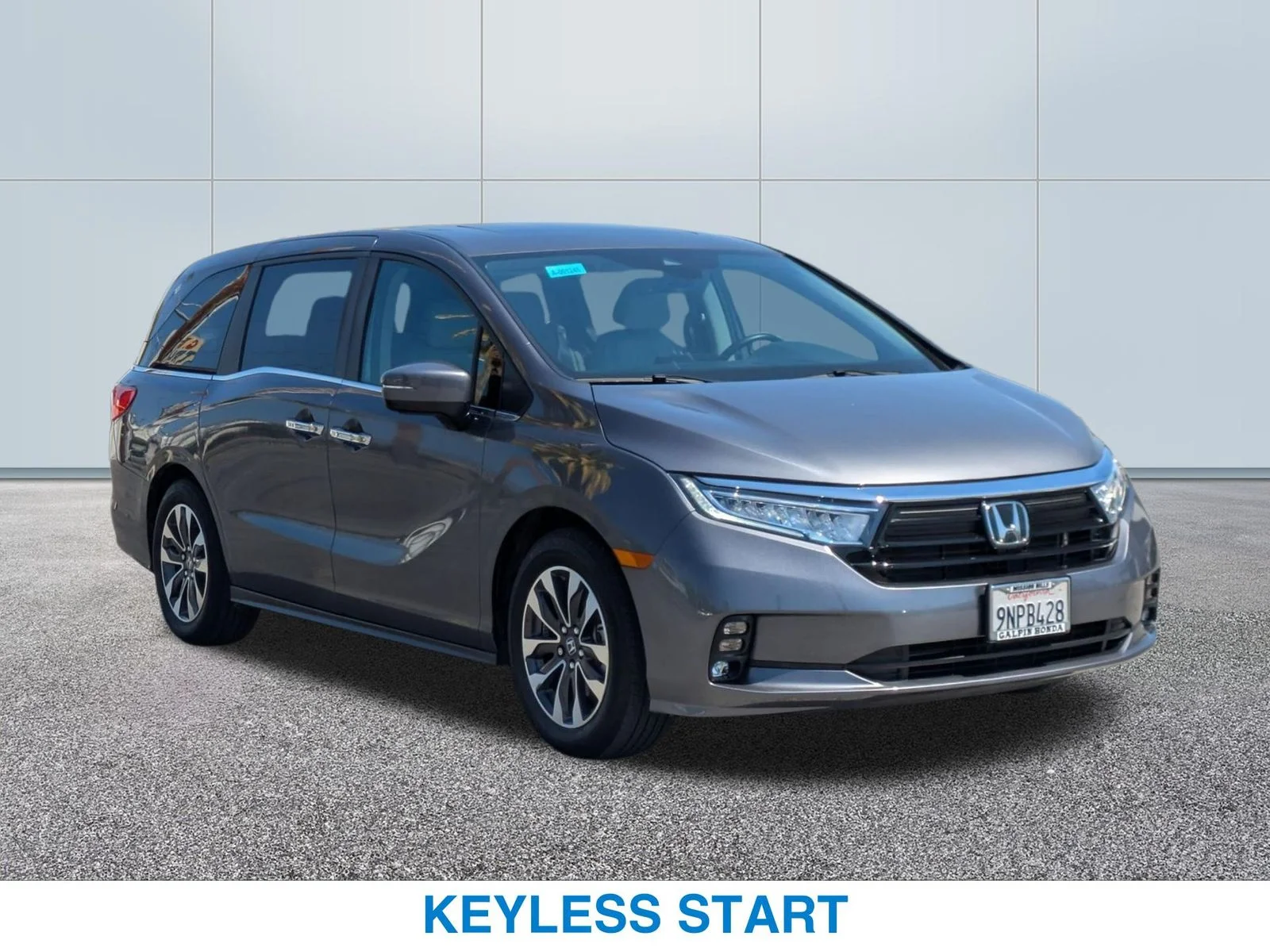 Used 2024 Gray Honda EX-L image 4