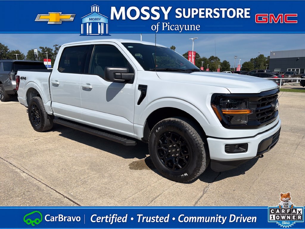 2025 Ford F-150 XLT - Photo 10