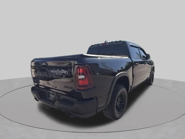 Used 2025 Black Ram Rebel image 3