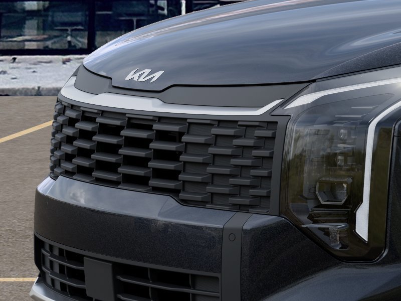 New 2026 Panthera Metal Kia LX image 12