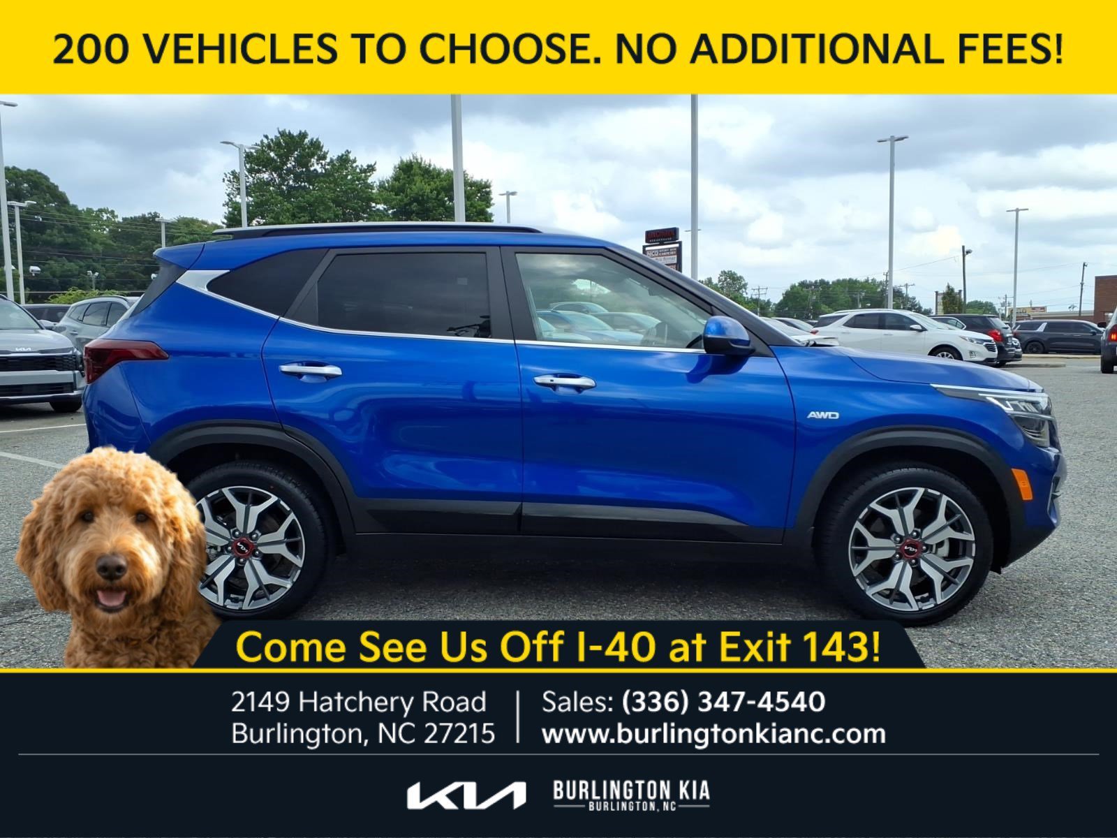 Used 2023 Neptune Blue Kia SX image 26