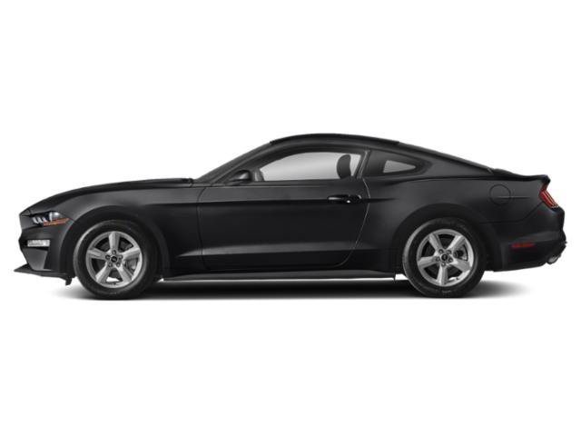 Used 2020 Shadow Black Ford EcoBoost image 3