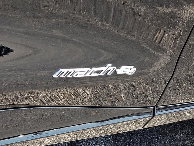 New 2026 Shadow Black Ford Premium image 40
