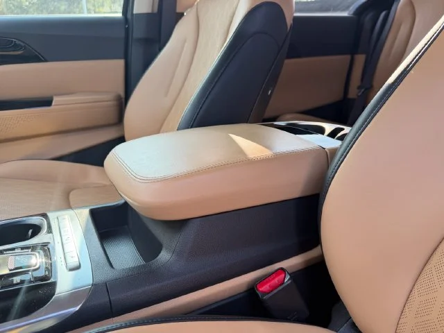 Certified Used 2024 Panthera Metal Kia EX image 22