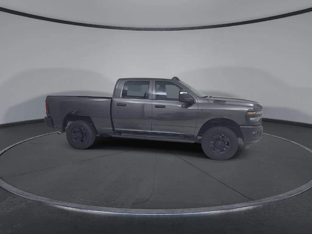 New 2026 Granite Crystal Metallic Clear-Coat Exterior Paint RAM Tradesman image 16