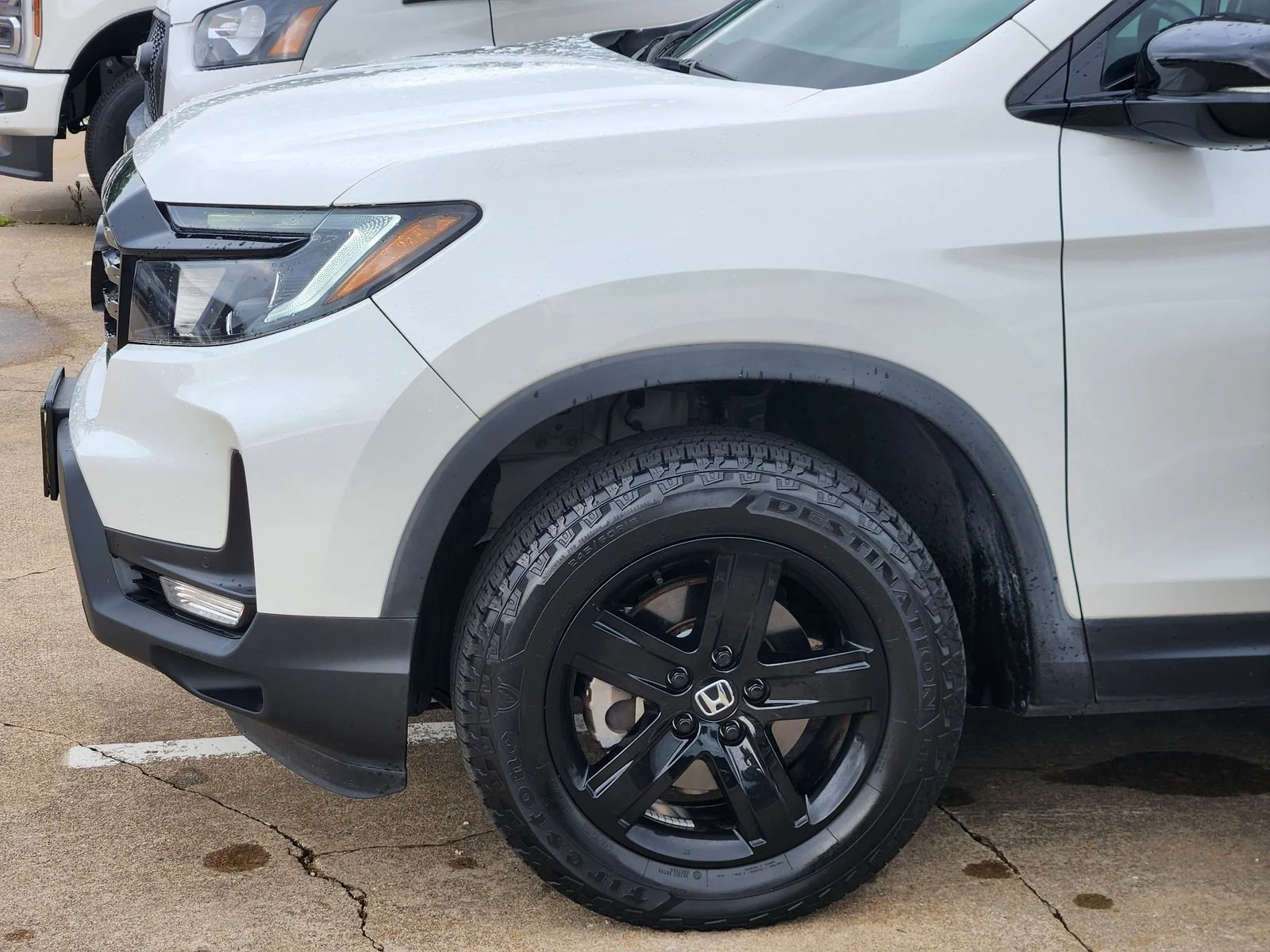 Used 2023 White Honda Black Edition image 8